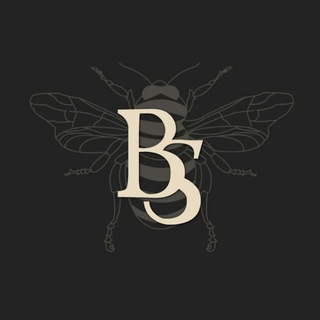 Логотип телеграм -каналу bs_oa — Братство спудеїв