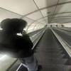 Логотип телеграм канала @bsbumi — крипер