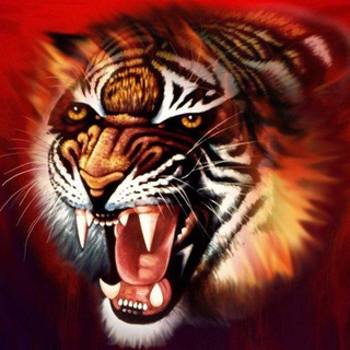 टेलीग्राम चैनल का लोगो bsc_queen — Fantasay cricket [SCAM]