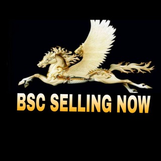 Logo saluran telegram bsc_selling_now — 💰BSC 💰SELLING 💰 NOW 💰
