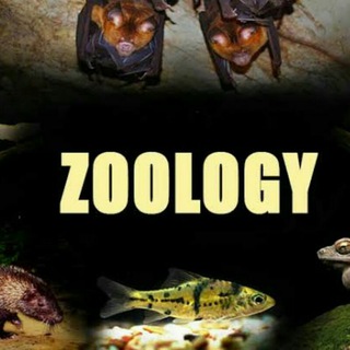 Telegram channel B.Sc.(Hons.) in Zoology logo