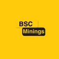 Logo saluran telegram bscminings — Binance Mining