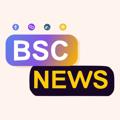 Logo saluran telegram bscnewsann — BSC.NEWS - Announcement Channel