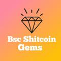 Logo saluran telegram bscshitcoinsgems — Bsc Shitcoin Gems