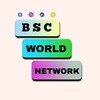 Telegram channel BSC World Network News logo