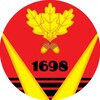 Логотип телеграм канала @bsk1698 — Новости Борисоглебска 1698