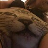 Логотип телеграм канала @bslanswers — BSLive Щитпостхъ