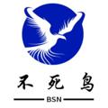 Logo saluran telegram bsn116 — 不死鸟会员头像