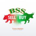 Logo saluran telegram bssforexmarket — BSS Forex Market