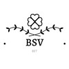 Логотип телеграм канала @bsv_bet — 💸BSV-Bet💸