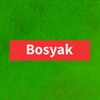 Логотип телеграм канала @bsyak — bosyak