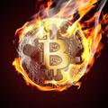 Logo saluran telegram btcvvip01 — BITCOIN VIP SIGNALS