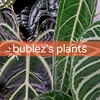 Логотип телеграм канала @bublezplants — bublez's plants | Джунгли на подоконнике 🌴