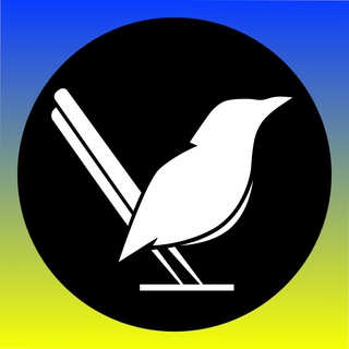 Логотип телеграм -каналу bucha_irpen_gostomel — СОРОКА⚡️НОВОСТИ