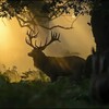 Логотип телеграм канала @buckskin_archive — Buck'skin 𐦍 Архив лошадей одного оленя