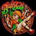 Logo saluran telegram bud_ball — BudBall