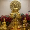 Логотип телеграм канала @buddhaviharaspb — Буддавихара