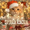Логотип телеграм канала @budkahaski — Будка Хаски