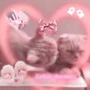 Логотип телеграм канала @budni_eviaeshey — Будни Эвиэшей.