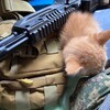 Логотип телеграм канала @budnivolontera — СВО глазами женщин «Будни волонтёра»