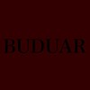 Telegram channel BUDUAR logo