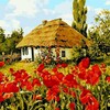 Telegram channel 🏡Будинок в селі (продаж, покупка, оренда) logo