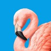 Логотип телеграм канала @bugazflamingo — Христианская дача у моря «Фламинго»