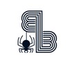 Логотип телеграм канала @bugbountyru — 🕷 BugBountyRu