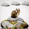 Логотип телеграм канала @bugormuziki — 🗻 Бугор: Музыки