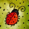 Логотип телеграм канала @bugsandspiders — жуки и пауки