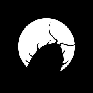 Logo of telegram channel bugsbro — Bugs Bro Bugs