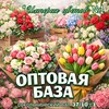 Логотип телеграм канала @buketioptom — 🌸 БУКЕТЫ 🌸 | ОПТОМ | 🌸МОСКВА 🌸