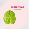 Логотип телеграм канала @buketnica — ЦВЕТЫ РОСТОВ «Букетница»