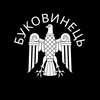 Логотип телеграм -каналу bukovynets — БУКОВИНЕЦЬ