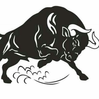 Telgraf kanalının logosu bullacademyegitimgrafik — Bull Academy - Eğitim & Grafik