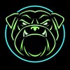 Логотип телеграм канала @bulldog_vpn1 — Bulldog Prime | Лучший сервис в 2026 году