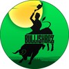 لوگوی کانال تلگرام bullishbaz — Bullish Baz (VIP)