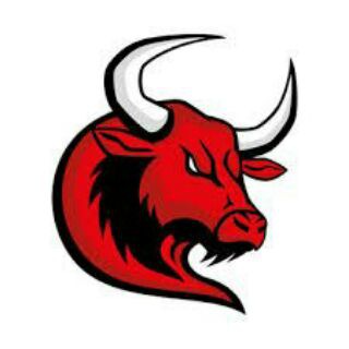 Logo of telegram channel bullishbullcall — Bullish Bull Call