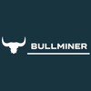 Logo of telegram channel bullminer_shop — BullMiner
