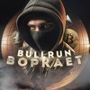 Логотип телеграм канала @bullrunworkaet — Bullrun воркает