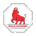 Logo saluran telegram bullsacademy22 — Bulls Academy