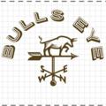 Logo saluran telegram bullseyeofficial — Bulls Eye