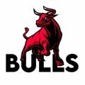 Telgraf kanalının logosu bullsidsellers — 𝘽𝙐𝙇𝙇𝙎 𝙄𝘿 𝙎𝙀𝙇𝙇𝙀𝙍𝙎 🔥🇮🇳