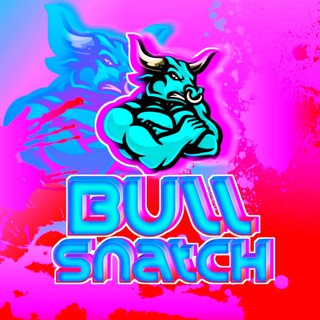 Логотип телеграм канала @bullsnatch — Bull Snatch