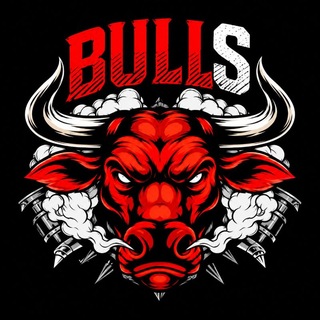 Logo of telegram channel bullsnetwork_official — Bull Crypto Team