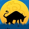 Logo of telegram channel bullsunleashed — Bulls Unleashed