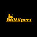 Logo des Telegrammkanals bullxpert - Intraday Trading | BullXpert ⭐
