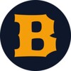 Logo of telegram channel bullydao — Bullydao | Crypto Earnings