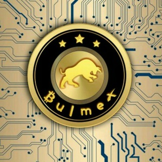 Logo of telegram channel bulmextopglobalteam — 💰BULMEX GLOBAL TEAM💰
