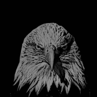 Логотип телеграм канала @bumbauz — BUMBA.UZ